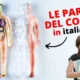 il corpo umano in italiano